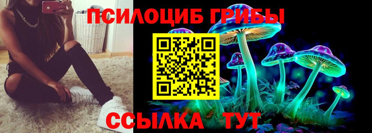 Галлюциногенные грибы Magic Shrooms  Вход с VPN  Алушта  Псилоцибиновые грибы Psilocybine cubensis 