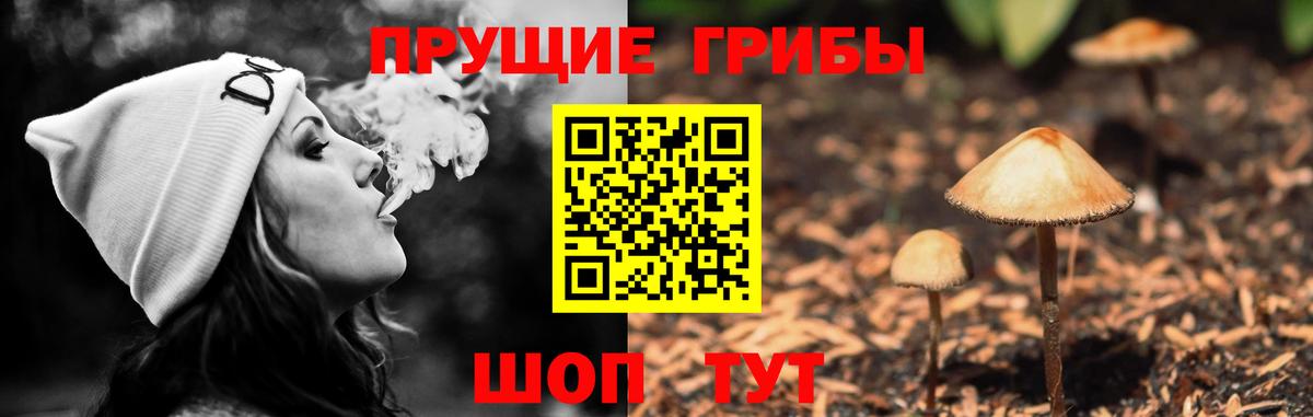 Галлюциногенные грибы прущие грибы Алушта